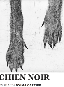 Chien Noir