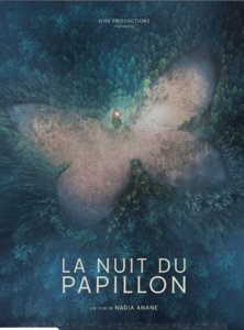 La dernière nuit du papillon