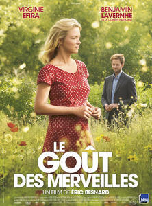 LE GOÛT DES MERVEILLES