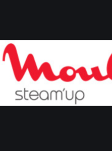 Steam Up Moulinex