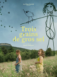 TROIS GRAINS DE GROS SEL